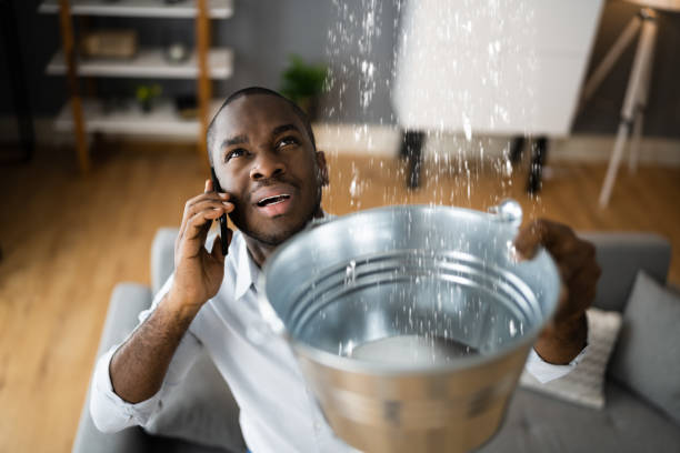 Best Water damage restoration mold remediation  in Water Valley, MS