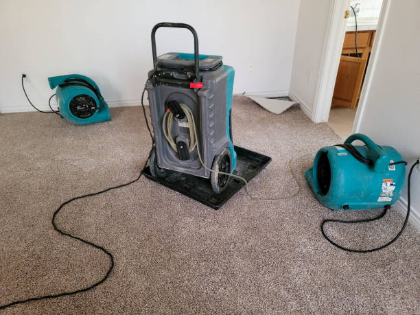 Best Ceiling water damage repair  in Water Valley, MS