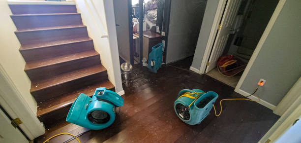  Water Valley, MS Water damage restoration Pros