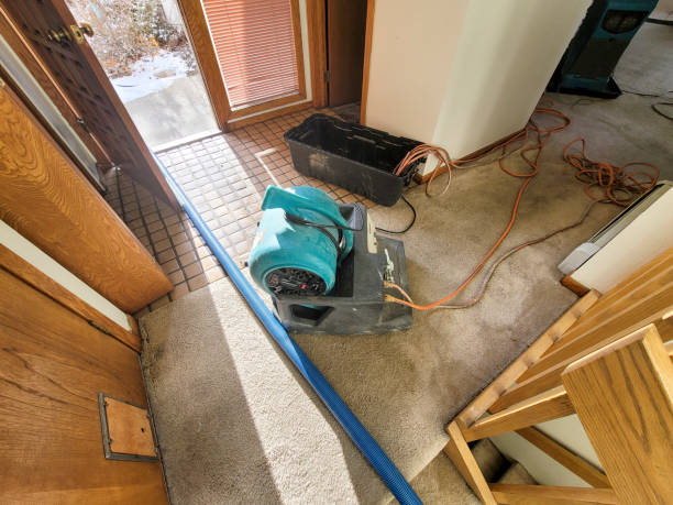 Best Basement water damage restoration  in Water Valley, MS