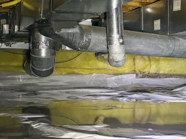 Best Water damage restoration cost  in Water Valley, MS