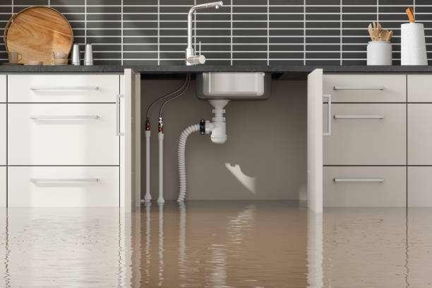 Reliable Water Valley, MS Water damage restoration Solutions